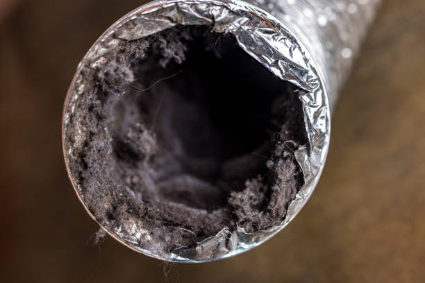 Best Home Air Vent Cleaning  in Delshire, OH
